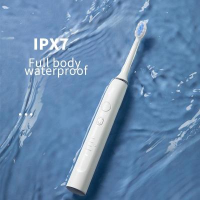 China wholesale customised IXP7 waterproof wireless induction charging 4 cleaning modes automatic memory sonic electric toothbrush 600mAh for sale