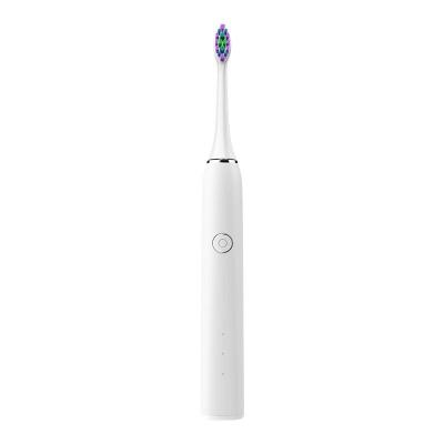 China Oral Care Appliances Blue Led Cold Light Sonic Electric Toothbrush Waterproof 600mAh for sale