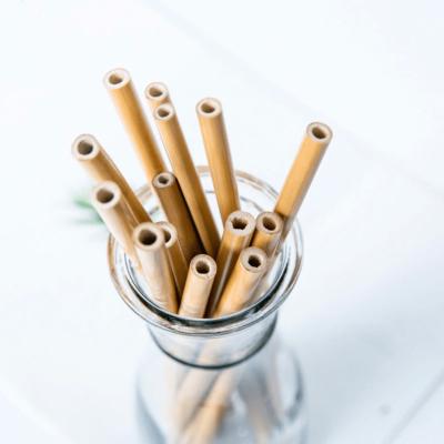 China Low Price Sustainable Bamboo Straws Eco Friendly Bubble Tea Bamboo Straw for sale