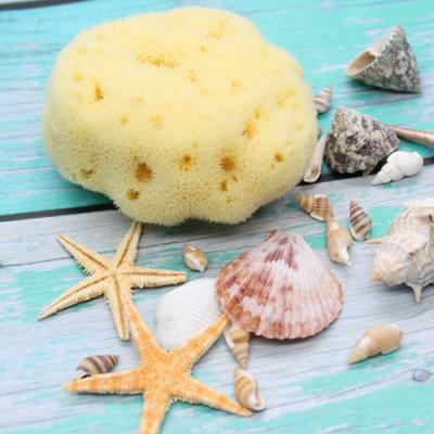 China All Natural Honeycomb Exfoliating Foam Sponge Custom Natural Bath Organic Sea Sponge for sale