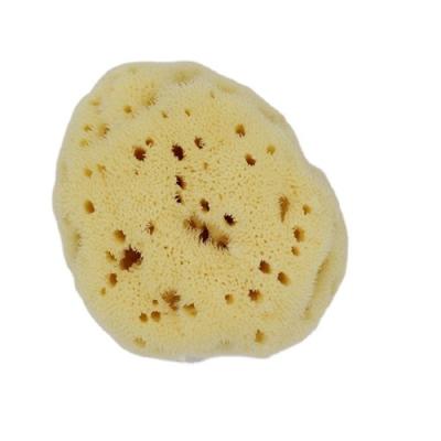 China All natural factory supply good price natural sea sponges silk and honeycomb sponge for sale