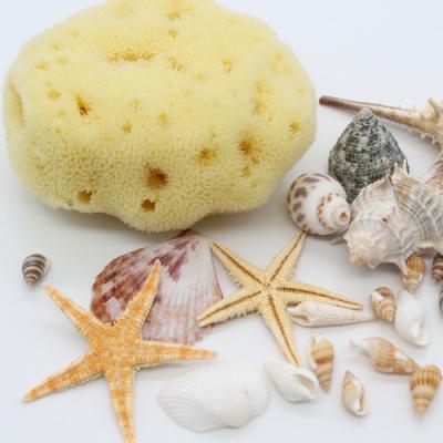 China All Natural Wholesale Natural Sea Sponge For Facial Cleansing Makeup And Body Bath for sale