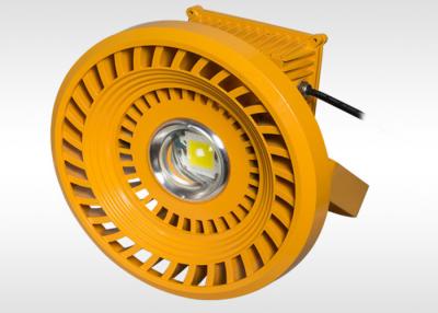 China Lumileds Chips LED Explosion Proof Lamp 100w For Petrol Station Application for sale