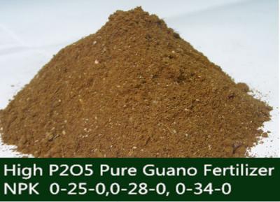 China Fertilizante fosilizado ave marina orgánica ahorro de energía del guano de alto grado de fósforo en venta