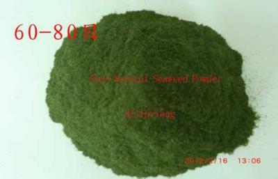 China Pure Natural Raw Materials Organic Fertilizer Seaweed Powder Pharmaceutical Grade for sale