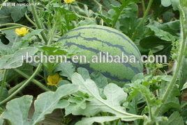 China organic fertilizer for melones for sale