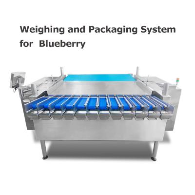 中国 MCU Control Weighing And Packaging Machine For Blueberry Cherry Tomatoes Raspberries 販売のため