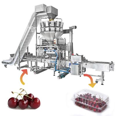 Cina Impacchettatrice automatica lineare di Cherry Blueberry Strawberry Tray Box della macchina di rifornimento in vendita