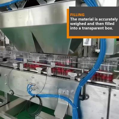 China Fresh Fruit Packing Automatic Multihead Weigher Granule Little Tomato Filling Machine for sale