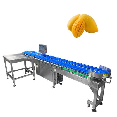 China Stainless Steel 304 Automatic Size Sorting Machine For Mango Fruit Vegetables Grading zu verkaufen