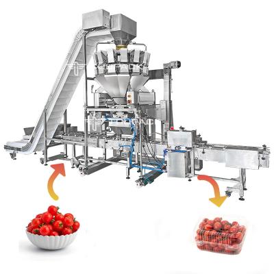 中国 Vegetable Fruit Multihead Weigher 2-2500g 1.6L Hopper 10 Head Multihead Weigher 販売のため