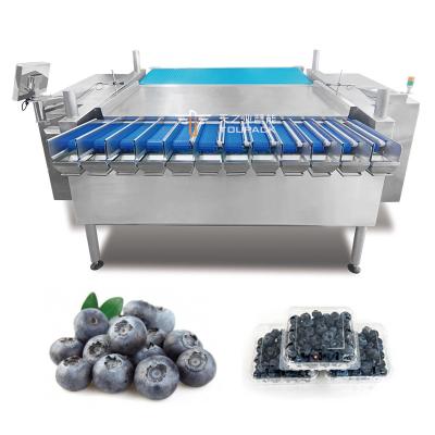 China Automática de la fruta de la pasión Kumquat Jujube de invierno Caja de plástico máquina de embalaje Blackberry Pesar línea de llenado de embalaje en venta