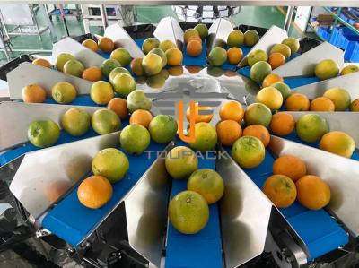 China De uitstekende hoofdgroente 16 en fruitcombinatieschaal, grote capaciteit vijf litervultrechter, roestvrij staal, maakt waterdicht Te koop