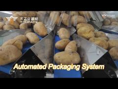 fully automatic mesh net bag packing machine for potato manual setting