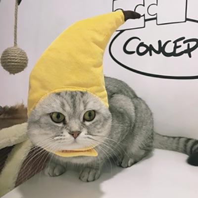 China Funny Stocked Cartoon Style Headdress Clothes Accessories Dog Party Hat Pet Cat Apparel for sale