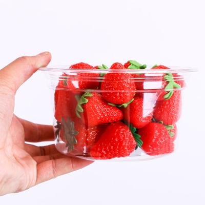 China Disposable Airtight Container Leakproof Disposable Salad Food Packing Crate Plastic Cup for sale