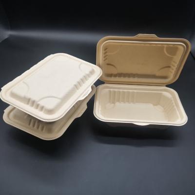 China Factory direct waterproof rectangular hinged bagasse to go container for sale