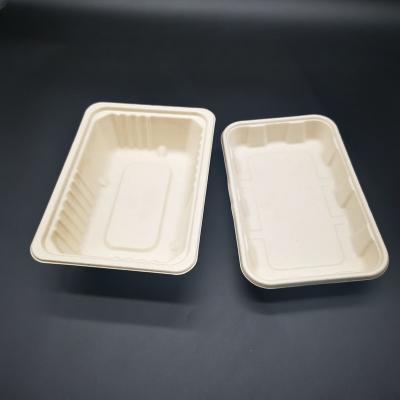 China Waterproof 1-Compartment Deep And Shallow Bagasse Rectangular Packaging Box for sale