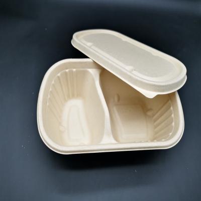 China Waterproof Eco Friendly Sugarcane Bagasse 2 Compartment Lunch Box Bagasse Takeout Containers for sale