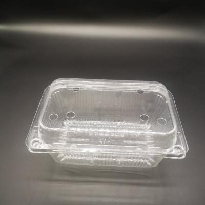 China Disposable Rectangular Transparent Hinged Plastic Fruit Container for sale