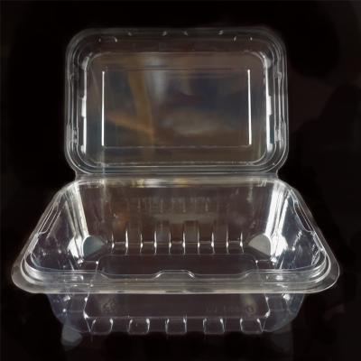 China Recyclable Transparent Recycled Plastic Food Packaging Package Box For Fruit for sale