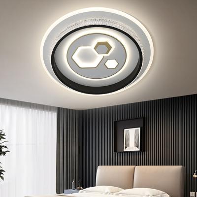 China GANVA Wholesale Indoor Living Room Outdoor Fashion LED Decorative Single Ceiling Light for sale