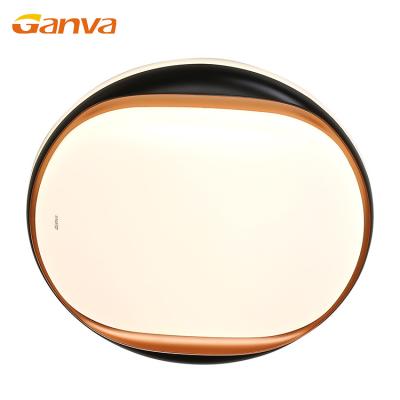 China GANVA Smart Remote Control Home Lamp Panel LED Indoor Outdoor Mounted Ceiling Light for sale