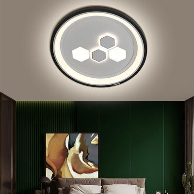 China Smart Control GANVA Home Indoor Decorative Lamp Round LED Outdoor Mounted Ceiling Light for sale