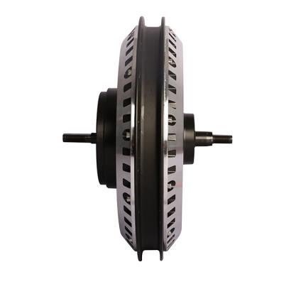 China Newest 12 inch spoke electric high quality spoke hub motor electric motor for e-bike for sale