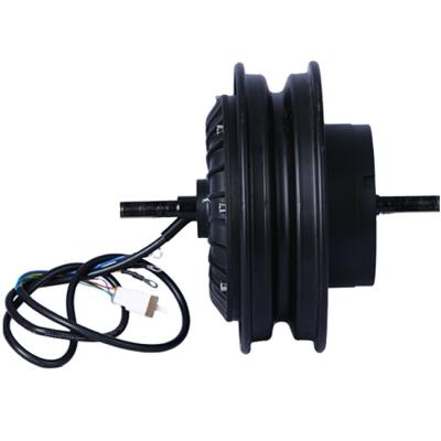 China High Quality Two Series 10 Inch Hub Motor High Finest Price Torque Brushless DC Motor for sale