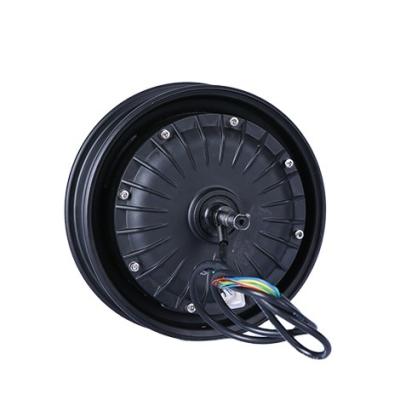 China China Design Wholesale Two Series 10 Inch Hub Motor 100Nm-130Nm Brushless Motor for sale