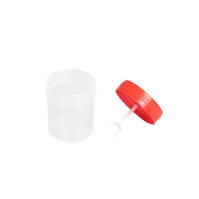 China Screw Lid Fanen Fecal Container with Spoon 30ml 40ml Specimen Sample Collection Stool Cup for sale