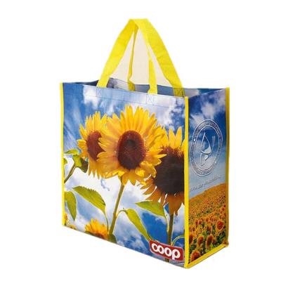 China Azo FREE/Sustainable& Reusable / Heavy Duty / Eco Friendly Accept High Quality Custom Recycle Extra Large 80gsm Heavy Duty Non Woven Shopping Bag for sale