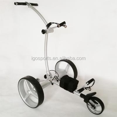 China 304 stainless steel small 2 seater golf cart for sale