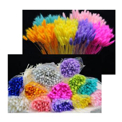 China Maintain up to 3 years preserved real everlasting dry flower bunny tail grass flower bouquet arrangements for christmas valentine for sale