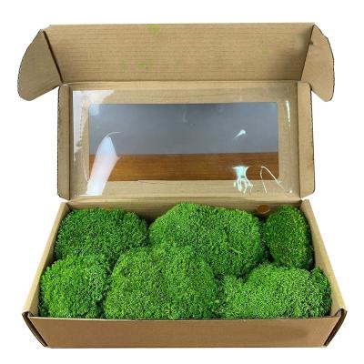 China Maintain Up To 3 Years Wholesale High Quality Natural Reindeer Post Moss Home Office Decoration Leucobryum glaucum Preserved Moss for sale