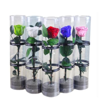 China Keep up to 3 years wholesale real single stabilized preserved long stem red roses 30 cm in round pvc box for valentine's gift for sale