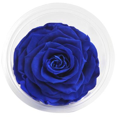 China Keep Up To 3 Years Old 9-10cm True Natural Fresh Preserved Flower Roses Head Gift With Box For Christmas Valentine's Day for sale