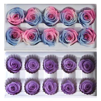 China Maintain Up To 3 Years 3-4cm True Roses Head Flower Preserved Eternal Natural Fresh Eternal Wholesale Gift For Christmas for sale