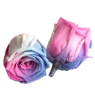 China Keep up to 3 years best selling 3-4cm roses preserved flower head everlasting wholesale with giftbox for sale