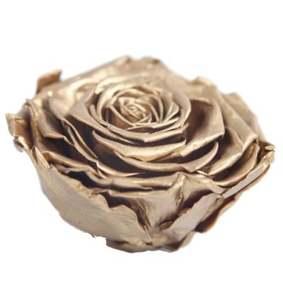 China Hold Up To 3 Years 9-10cm Gold Preserved Eternal Flower Head Ecuador Roses In Gift Box Christmas Valentine Birthday Gift for sale