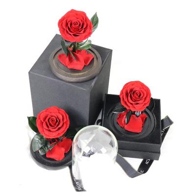 China Maintain Up To 3 Years Preserved Rose In Eternal Real Glass Dome Eternal Flower Wholesale With Gift Box for sale