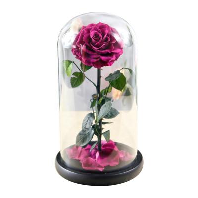 China Keep Up To 3 Years Preserved Roses In Real Glass Infinity Factory Gift Dome Box Flower Head Wholesale Supply for sale