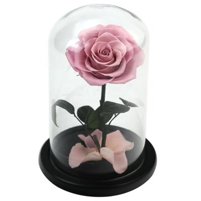 China Birthday Christmas valentine wedding gift preserved rose real fresh stabilized eternal globe flower head in glass dome with giftbox for sale