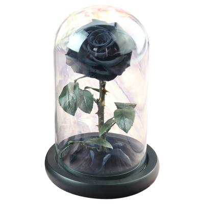 China Preserved birthday christmas valentine wedding gift glass dome rose in gift box wholesale durable fresh flower head real long stem for sale