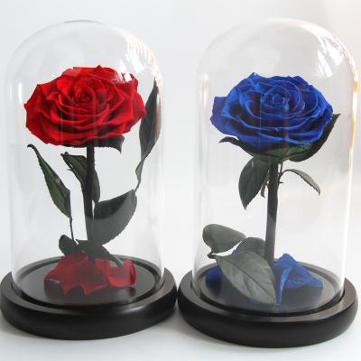 China Wholesale new arrival Christmas valentine wedding gift birthday preserved real eternal roses in glass dome for sale