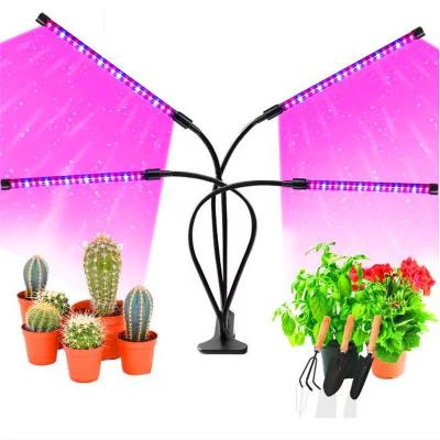 China Dimming+Time Control Amazon 2021 Dimmable 4 Full Head Auto On/Off Timer Indoor Factory Hot Selling Adjustable Spectrum Led To Grow Light for sale