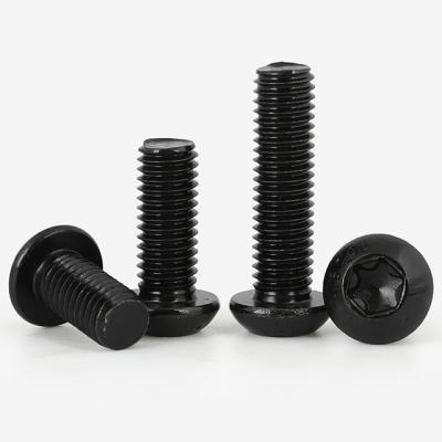 China Latest Design Top Quality Flat Half Round Head Screws Price Security Black Quincunx Torx Screw for sale