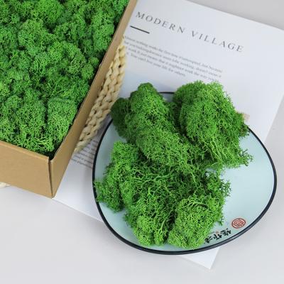 China YS-036 Moss Panel Decorations Colorful High Quality Wholesale 500g Handmade/Extended Storage Time Evaluate Real Contact Moss Wall Panels For Decor Preserved Moss for sale