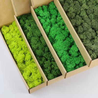 China Handmade Wholesale High Quality Colored Wall Panels / Extended Weather YS-034 Moss Panel Decorations 50cm Real Storage For Decor Preserved Moss for sale